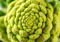 Kalafior romanesco – właściwości, korzyści zdrowotne i wpływ na dietę